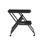 Contemporary Steel 2-Shelf Folding Server Cart with Wheeled Base